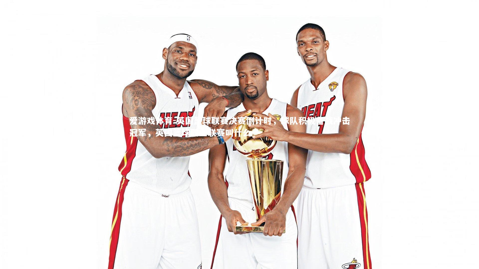 英国篮球联赛决赛倒计时，球队积极备战冲击冠军，英国篮球职业联赛叫什么