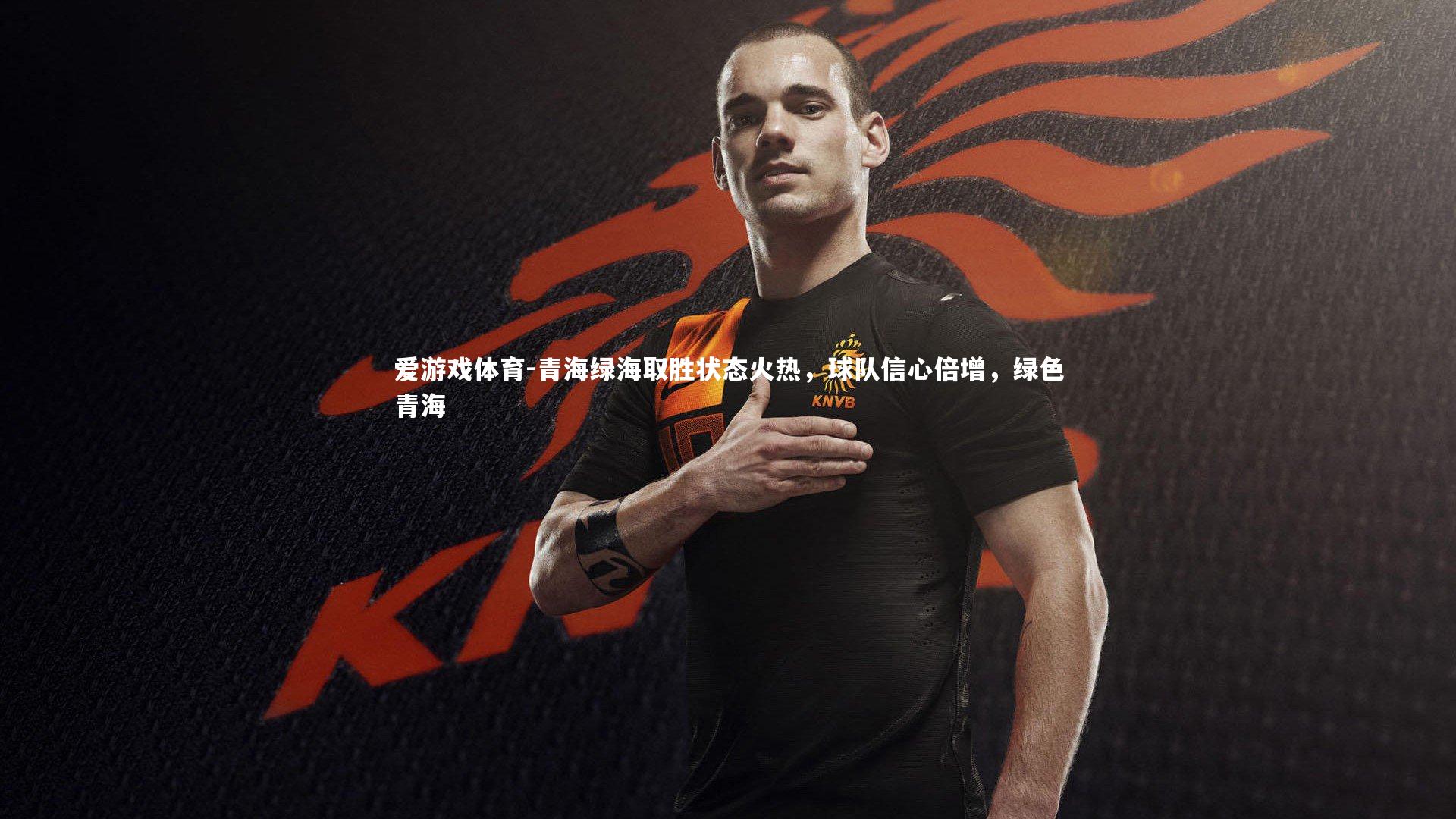 爱游戏体育-青海绿海取胜状态火热，球队信心倍增，绿色青海