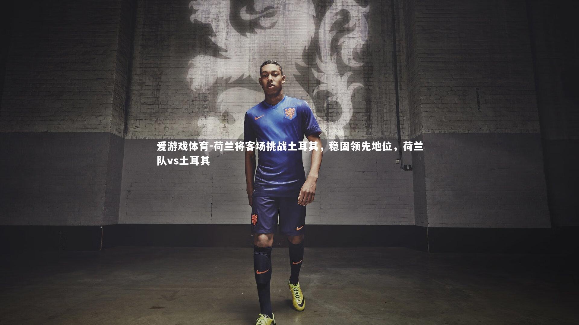 爱游戏体育-荷兰将客场挑战土耳其，稳固领先地位，荷兰队vs土耳其